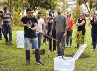 IAT orienta gestores municipais sobre atendimento aos animais silvestres vitimados