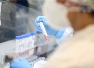 Paraná confirma quase 2 mil casos de Covid e média aumenta