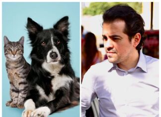 Pet não é mala de viagem e merece respeito!