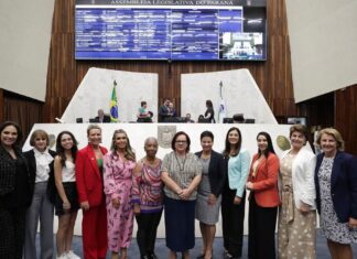 Em homenagem ao Dia Internacional da Mulher, sessão especial da CCJ será comandada por deputadas