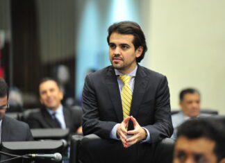 Paraná tem nova lei sobre transporte de animais em ônibus intermunicipais