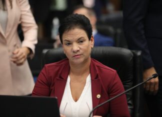 Mais policiamento na região central de Curitiba é tema de requerimento da deputada Marli Paulino (SD)