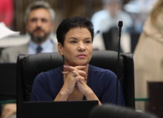 Deputada Marli Paulino (SD) solicita ações enérgicas contra crimes na internet