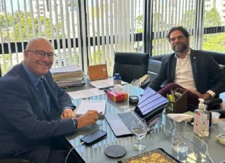 Luiz Cláudio Romanelli a meio caminho do PDT