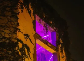 Pappa´s, bares descolados e alternativos!