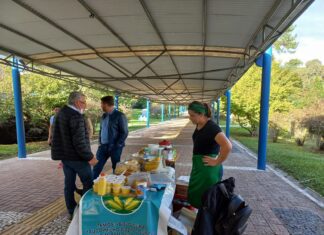 Feira Mulheres que Somam acontece de 9 a 11 de maio