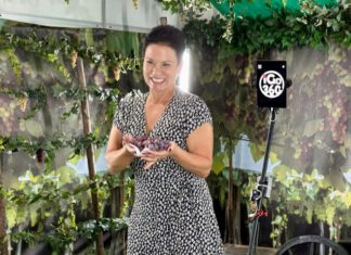 Deputada Marli Paulino (SD) protocola projeto de lei para tornar a Festa da Uva de Colombo evento oficial do Paraná