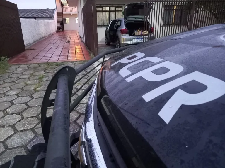 Operação mira fraudadores de óleo medicinal feito à base de maconha em Curitiba