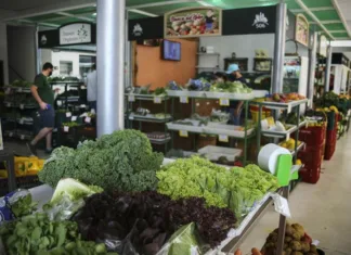 Mercado Municipal de Curitiba promove Semana de Orgânicos