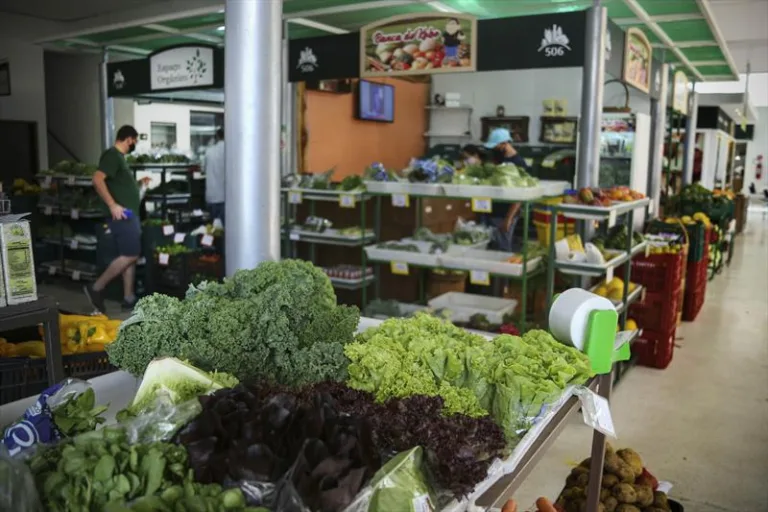 Mercado Municipal de Curitiba promove Semana de Orgânicos