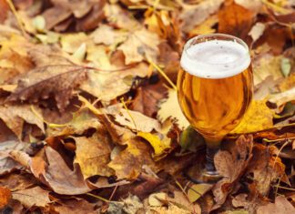 Outono: descubra quais são as cervejas mais indicadas para esse período do ano e como harmonizar com pratos típicos dessa estação