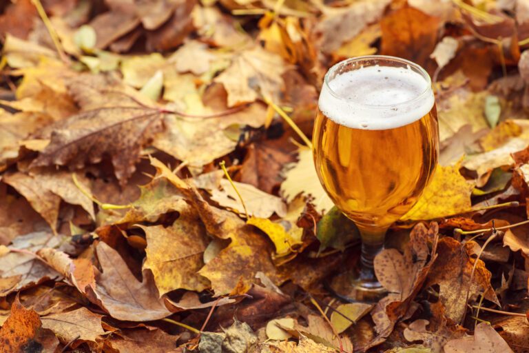 Outono: descubra quais são as cervejas mais indicadas para esse período do ano e como harmonizar com pratos típicos dessa estação