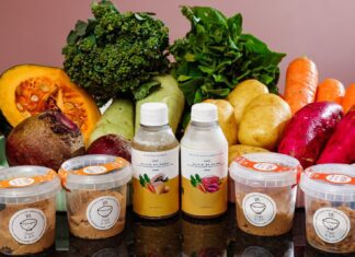 Pet Day Tattoo apresenta atrações gastronômicas especiais para cães e gatos neste domingo