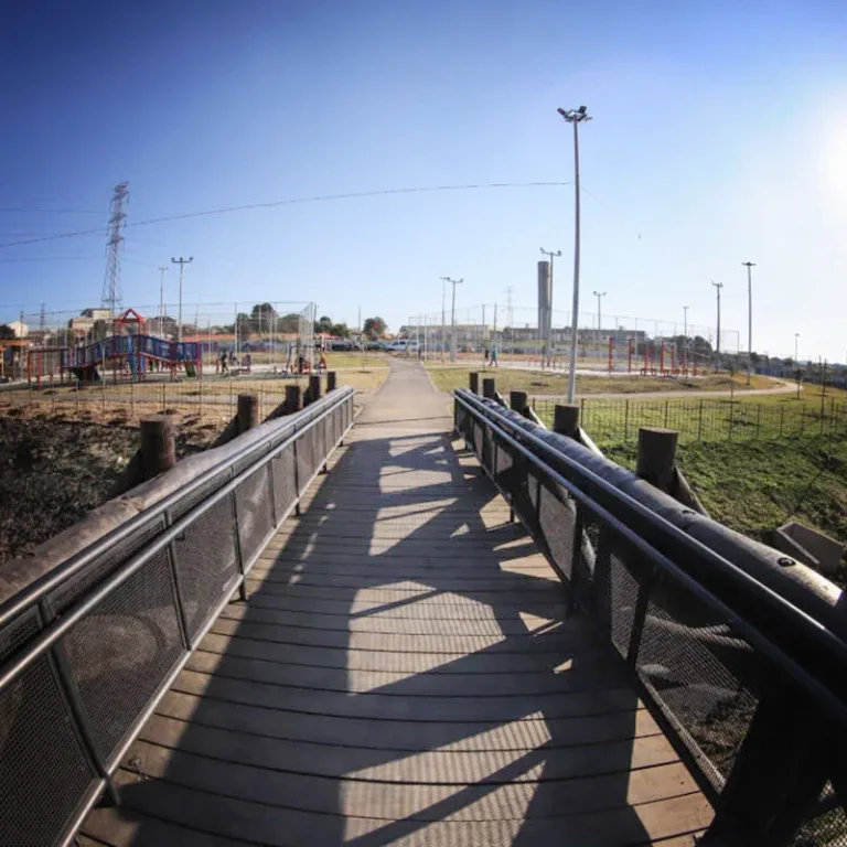 Curitiba inaugura novo parque no Dia Nacional da Araucária