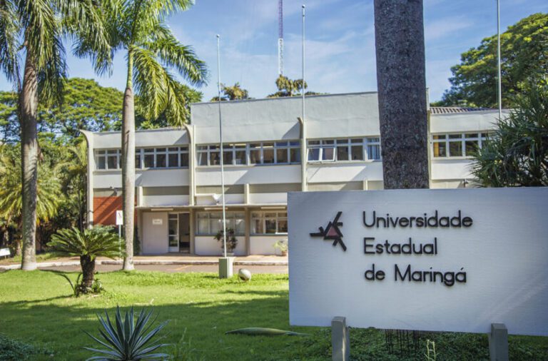 UEM prorroga as inscrições do Vestibular de Verão até 19 de novembro