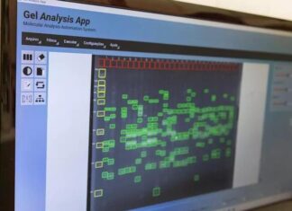 Pesquisadores criam software baseado em IA que analisa DNA em minutos