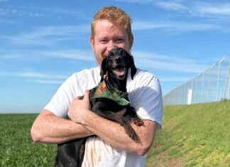 Cachorrinha desaparece após acidente em rodovia e é encontrada 22 dias depois