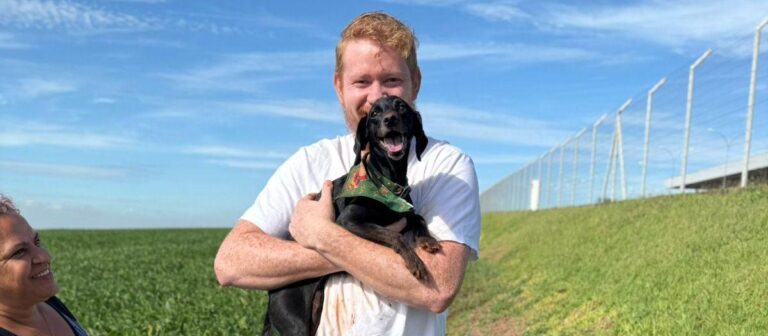 Cachorrinha desaparece após acidente em rodovia e é encontrada 22 dias depois