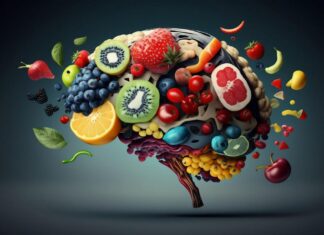 Alimentação e Saúde Mental: A conexão Entre o intestino e o Cérebro.