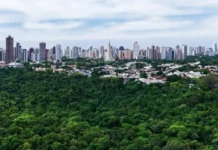 Saiba como fica a previsão do tempo em Maringá neste final de semana