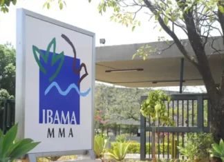 Ibama abre inscrições para concurso público com 460 vagas; salários chegam a R$ 9,9 mil