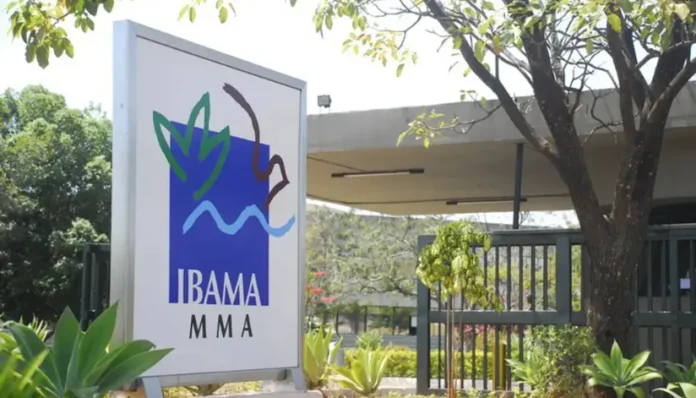 su1ie-ibama-abre-inscricoes-para-concurso-publico-com-460-vagas-salarios-chegam-a-r-99-mil
