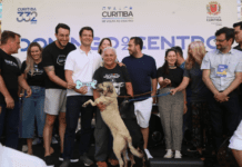 Eduardo Pimentel sanciona lei que permite transporte de pets nos ônibus de Curitiba