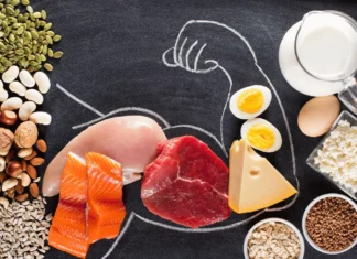 Será Realmente Que Precisamos Consumir Proteínas?