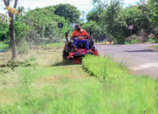 Prefeitura de Maringá contrata serviço emergencial para roçada em áreas públicas
